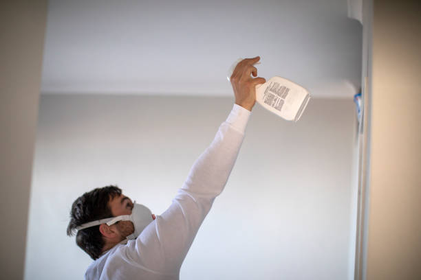 Mold Removal and Inspection in Negaunee, MI
