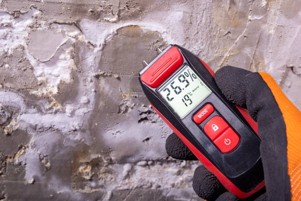 Best Mold Removal Company Near Me  in Negaunee, MI