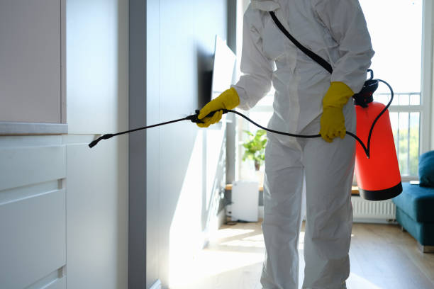 Best Attic Mold Removal  in Negaunee, MI