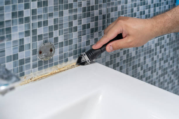 Best Black Mold Removal  in Negaunee, MI