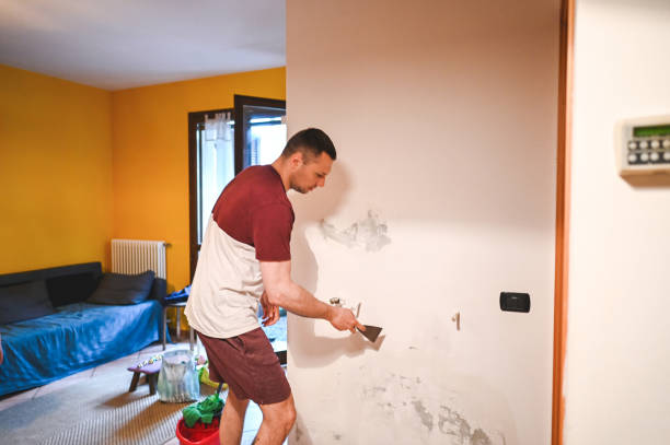 Best Fast Mold Removal  in Negaunee, MI